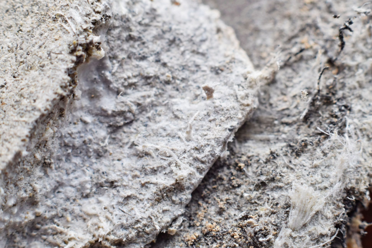 What is Asbestos Mesothelioma?